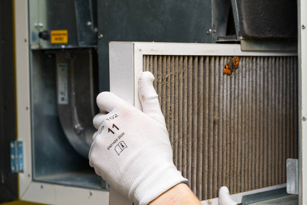 Air Duct Mold Removal in Valley Center, CA