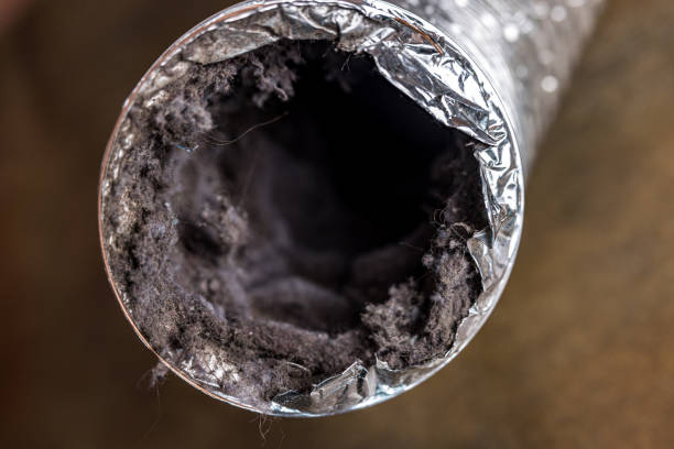 Best Affordable Duct Cleaning Services  in Valley Center, CA